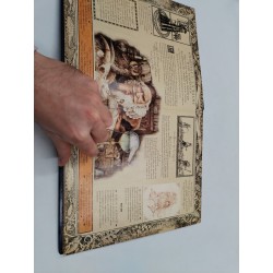Magicologie Le Livre Des Secrets De Merlin Dragonologie Milan Éditions Pop Up