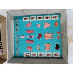 Anatomie 2000 Ceji Jeux Ancien Science Corps Humain Organe Compagnie Du Jouet