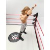 paul burchill 2005 Mattel Figurine Lutteurs WWE Wwf WcW Jakks Pacific Catch...