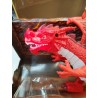 Dragon De Feu Ferry Jouets Figurine Dinosaure Électronique Jeux Jouet