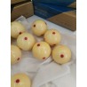 ONE White Super ARAMITH PRO CUP CUE BALL 2 1/4" 61,5 Mm Belgian billiard Balls 
