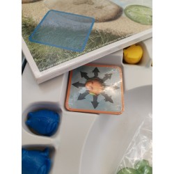 Kernouille Mindtwister Grenouille Sauteuse Marais Jeu de société Jeux Carrom Art