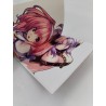 Agarest 2 Official Visual Book Ghostlight Jeux Vidéo Artbook Collector's