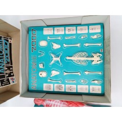 Anatomie 2000 Ceji Jeux Ancien Science Corps Humain Organe Compagnie Du Jouet