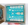 Anatomie 2000 Ceji Jeux Ancien Science Corps Humain Organe Compagnie Du Jouet