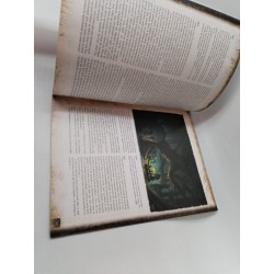 l'oeil noir le vampire de havena aventurie the dark eye blackbook edition livre