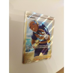 Dresseur Graham 192/196 2022 Carte Pokémon Jcc Holo Full Art Reverse Nintendo