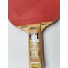 Tiga Cobra Yasaka Wood Championship Play Stellan Bengtson World Champion Godkand