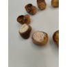 Lot De 10 Coquilles Godets A Escargots Escargot Céramique Grès Cuisson