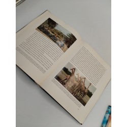 Livre D'art 1955 WALT DISNEY Lions d'Afrique Collection C'est La Vie 3 Livres 