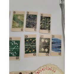 Nouveau Jeux De Tarot Dédié A La Région Alpine Fournier Vitoria Jeu Cartes Carte