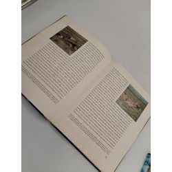 Livre D'art 1955 WALT DISNEY Lions d'Afrique Collection C'est La Vie 3 Livres 