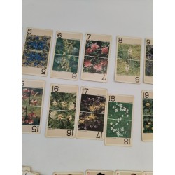 Nouveau Jeux De Tarot Dédié A La Région Alpine Fournier Vitoria Jeu Cartes Carte