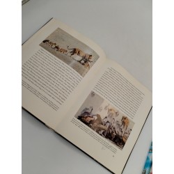 Livre D'art 1955 WALT DISNEY Lions d'Afrique Collection C'est La Vie 3 Livres 