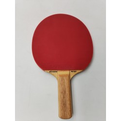 Tiga Cobra Yasaka Wood Championship Play Stellan Bengtson World Champion Godkand