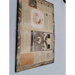 Magicologie Le Livre Des Secrets De Merlin Dragonologie Milan Éditions Pop Up