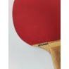 Tiga Cobra Yasaka Wood Championship Play Stellan Bengtson World Champion Godkand
