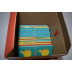 Domino des couleurs Djeco jeu de société dominos jeux