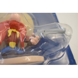 Looney Tunes Sam le pirate Yosemite figurine Atlas jeu jouet jeux