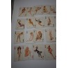 Jeu de cartes Erotique signé Vargas Vanities années 50 ancien jeux