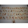 Jeu de cartes Erotique signé Vargas Vanities années 50 ancien jeux