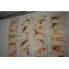 Jeu de cartes Erotique signé Vargas Vanities années 50 ancien jeux