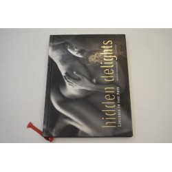 Hidden Delights Lingerie in the arts art livre