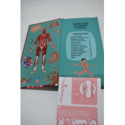 Construis Un Corps Humain Gallimard Jeunesse Livre Squelette Maquette Jeu