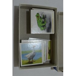 Memory Edition Les animaux ravensburger jeu de société jeux memo nature