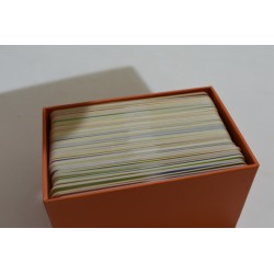 Qui Que Quiz dinosaures P'tits jeux docs edition Milan jeu jouet livre