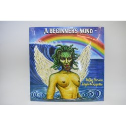 Vinyl neuf sous blister A Beginner's Mind Sufjan Stevens & Angelo De Augustine cd audio musique