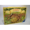 Le lièvre et la tortue 1978 Edition Ravensburger jeu de société jeux course au but carlit