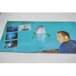 Le Grand bleu version longue Laser disc film francais fox studio Jean réno