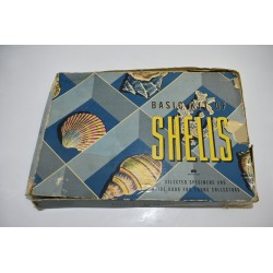 Basi kit of Shells Edition harvey house 1956 coquillages collection