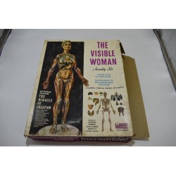 The Visible Woman avec Extension The Miracle of Création Edition Renwal squelette Années 60 maquette Corps humains relief