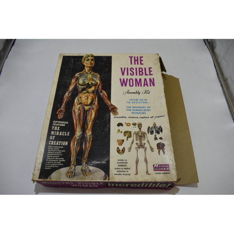 The Visible Woman avec Extension The Miracle of Création Edition Renwal squelette Années 60 maquette Corps humains relief