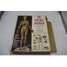 The Visible Woman avec Extension The Miracle of Création Edition Renwal squelette Années 60 maquette Corps humains relief