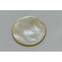 Jeton de Casino Nacre Symbole Dollars Jetons mises paris jeux de cartes a jouer