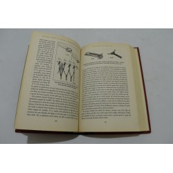 159 jeux jouets et tours du petit mecano Edition marabout livre jeux de construction