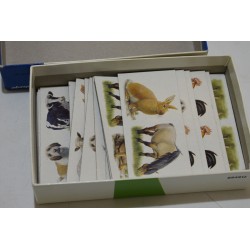 Domino Les animaux de la ferme Edition Ravensburger jeu de société jeux