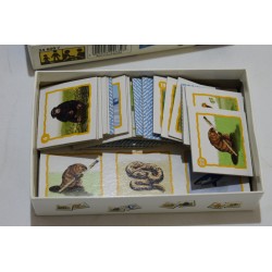 Loto Les animaux sauvages Edition Ravensburger jeu de société memory domino