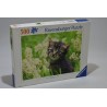 Puzzle 500 ravensburger Cat in the meadow jeu jouet casse tete puzzles chaton dans le champ
