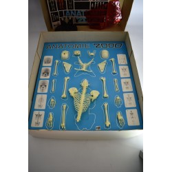 Anatomie 2000 edition Ceji corps humains visible Man renwall squelette année 70 organe science