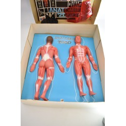 Anatomie 2000 edition Ceji corps humains visible Man renwall squelette année 70 organe science