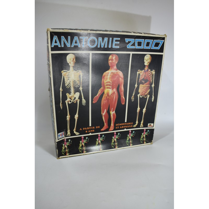 Anatomie 2000 edition Ceji corps humains visible Man renwall squelette année 70 organe science