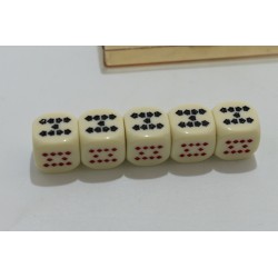 Poker d'as Coffret 5 dés cartes pokers jeu de dé jeux de société paris casino