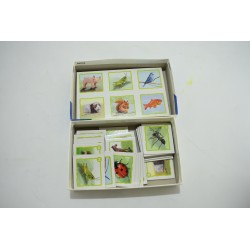 Loto Les animaux sauvages jeu de société Edition Ravensburger  memory domino