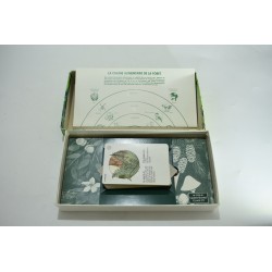 Entrons dans la foret le jeu de la chaine alimentaire The green board game co jeu de société jeux