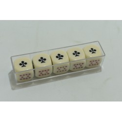 Poker d'as Coffret 5 dés pokers paris cartes jeu de dé casino jeux de société