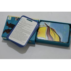 Piratatak Edition Djeco jeu de société  tresor pirate caché jeux d'aventure et de strategie